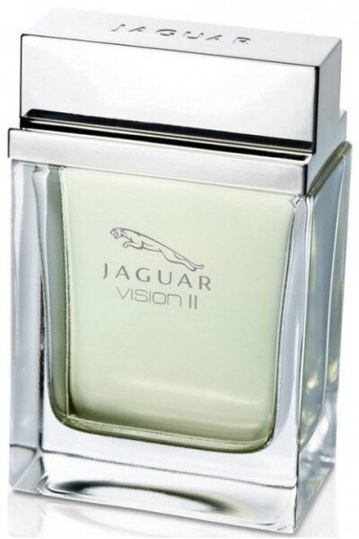 Jaguar Vision II EDT 100 ml Erkek Parfümü kullananlar yorumlar